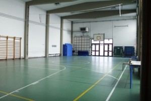 palestra: pavimento verde, pareti bianche, spalliere al muro, rete da pallavolo, pannelli basket, tavoli da ping pong